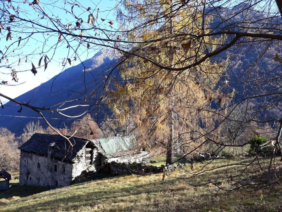 Casa All'Alpe Anzino ภายนอก รูปภาพ