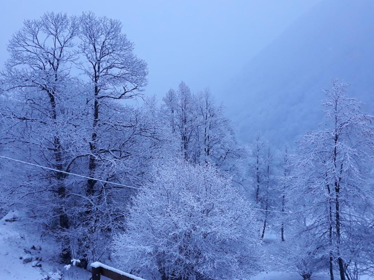 Casa All'Alpe Anzino ภายนอก รูปภาพ