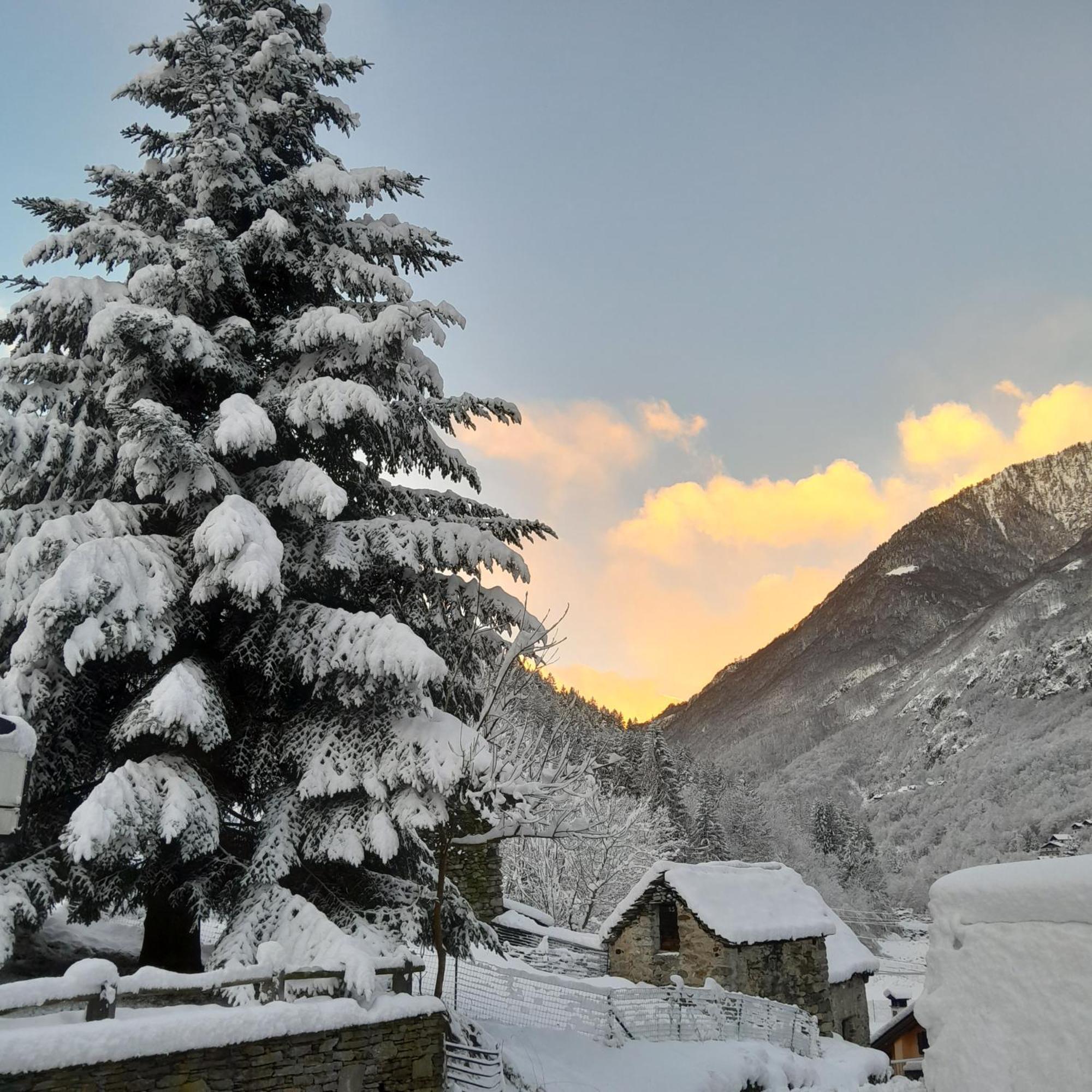 Casa All'Alpe Anzino ภายนอก รูปภาพ