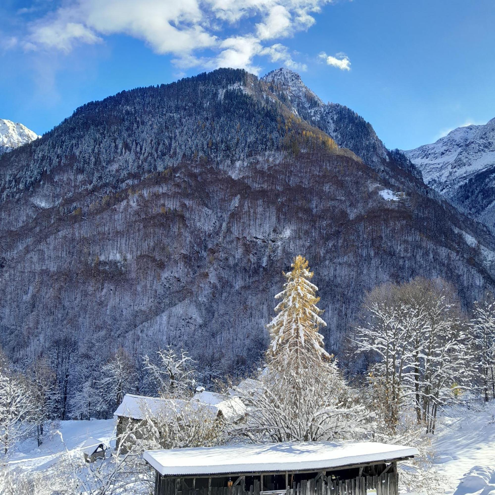 Casa All'Alpe Anzino ภายนอก รูปภาพ